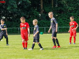 Hillen Cup 2024
